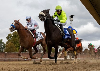 Street Sense - Horse Profile - BloodHorse