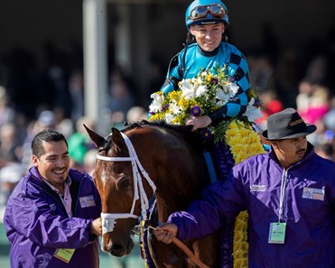 Stormy Liberal - Horse Profile - BloodHorse