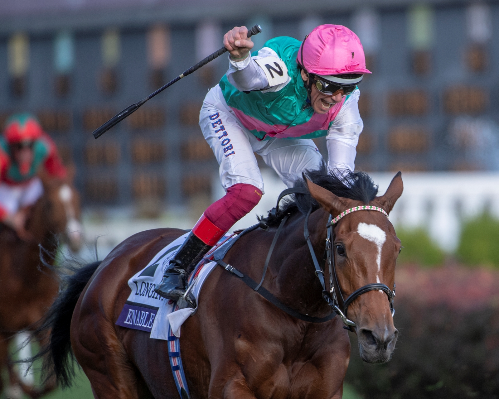 Breeders' Cup バナー 1984-2023 Breeders' Cup Turf: 1984 - 2023 - Slideshow - BloodHorse