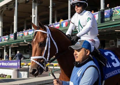 Audible - Horse Profile - BloodHorse