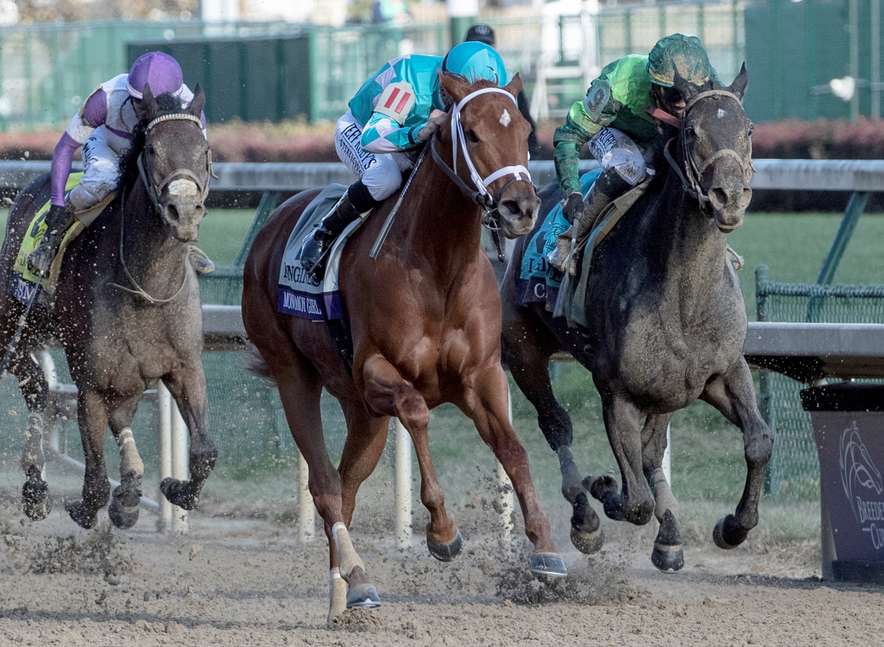 Monomoy Girl Leaves No Doubt With Distaff Victory BloodHorse