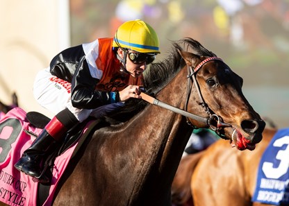 Chicago Style - Horse Profile - BloodHorse