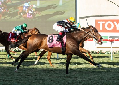 Chicago Style - Horse Profile - BloodHorse