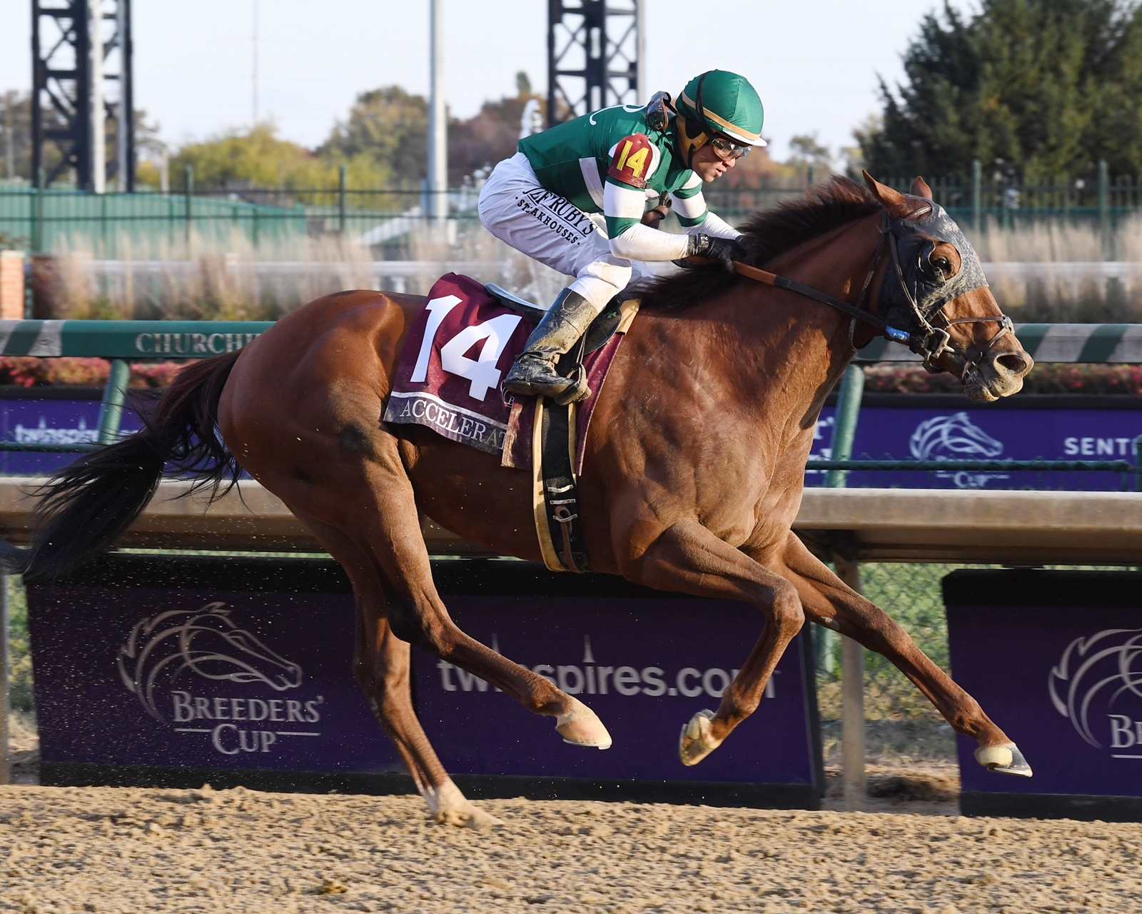 04 11 2018 Breeders Cup Results Accelerate Finds Top Gear to