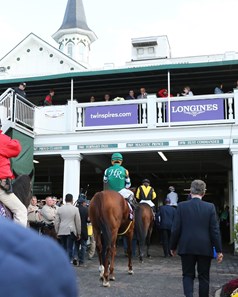 Accelerate - Horse Profile - BloodHorse