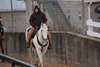 Steve Hobby and Chindi during morning training in 2018 at Oaklawn Park