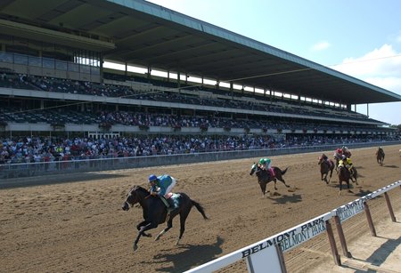 Horses race on the dirt at Belmont Park 