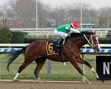 Maximus Mischief - Horse Profile - BloodHorse