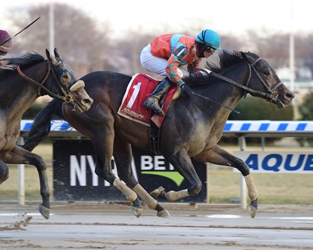 Name Changer wins the 2018 Queens County Stakes at Aqueduct Racetrack