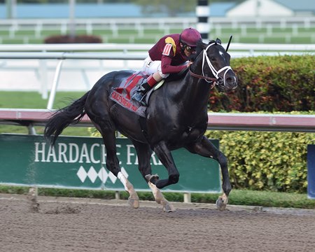 Coal Front wins the Mr. Prospector Stakes at Gulfstream Park 