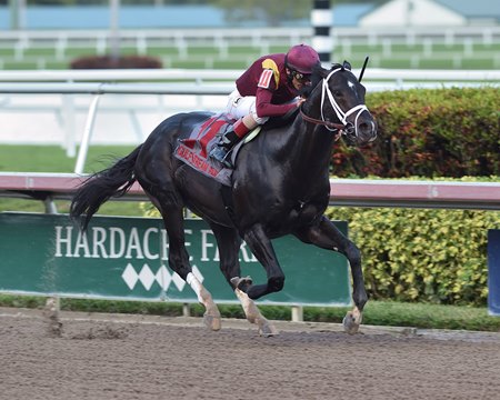 Coal Front wins the Mr. Prospector Stakes at Gulfstream Park