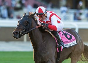 equibase horse racing horse racing entries horse racing