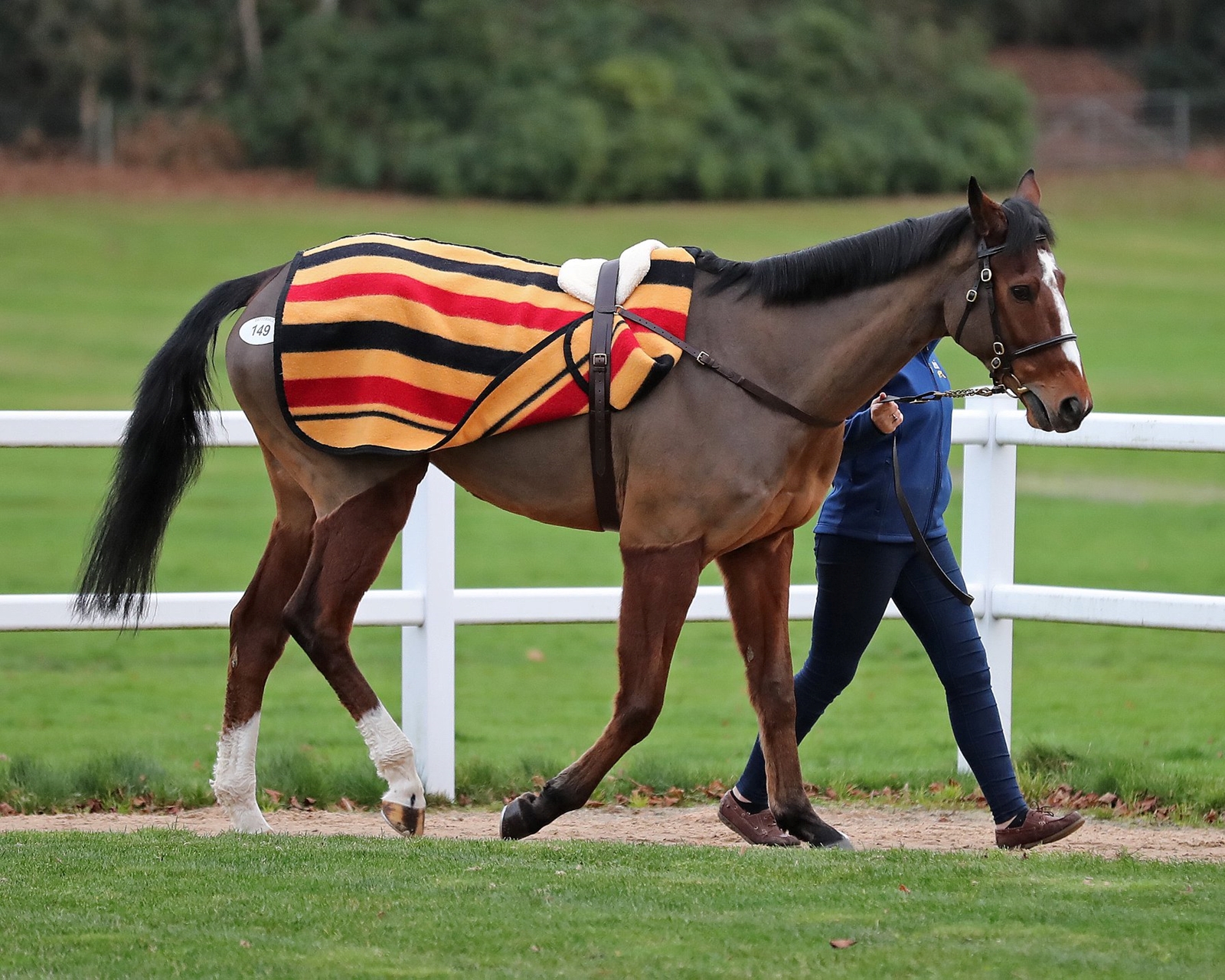 Gennady Tops Tattersalls Ascot December Sale BloodHorse