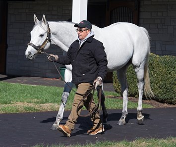 Race Day - Horse Profile - BloodHorse