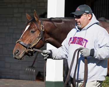 Brody's Cause - Horse Profile - BloodHorse