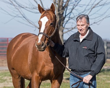 Stage Magic - Horse Profile - BloodHorse