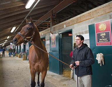 Abel Tasman - Horse Profile - BloodHorse