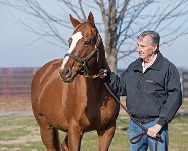 Stage Magic - Horse Profile - BloodHorse