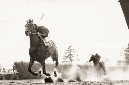 Citation Horse Profile Bloodhorse