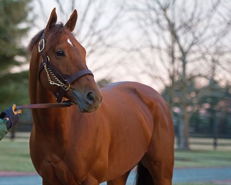 Accelerate at Lane's End