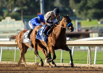 Marley's Freedom - Horse Profile - BloodHorse