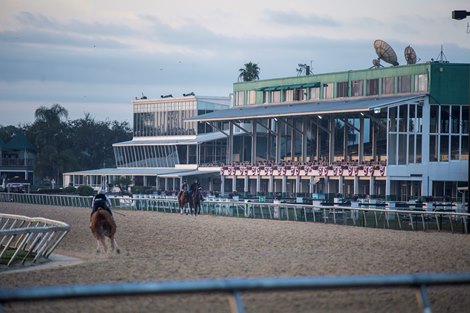 Tampa Bay Downs reports minor damage from Hurricane Milton