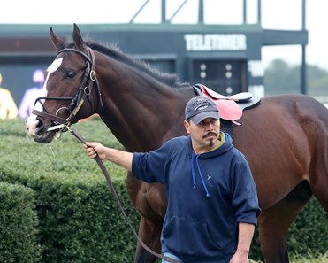 Copper Bullet - Horse Profile - BloodHorse