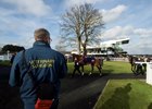 One of the racecourse vets watches the runners in the opener circle the parade ring as racing returns following the equine flu outbreak
Plumpton 13.2.19 