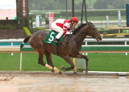 Omaha Beach Horse Profile Bloodhorse