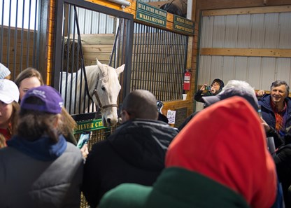 Rags to Riches Retired - BloodHorse