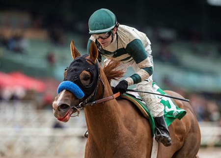 Mucho Gusto wins the Robert B. Lewis Stakes at Santa Anita Park