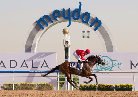 Coronavirus Fears Shut Meydan Doors On Super Saturday Bloodhorse