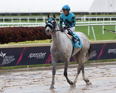 X Y Jet after winning an allowance optional claiming race in February 2019 at Gulfstream Park