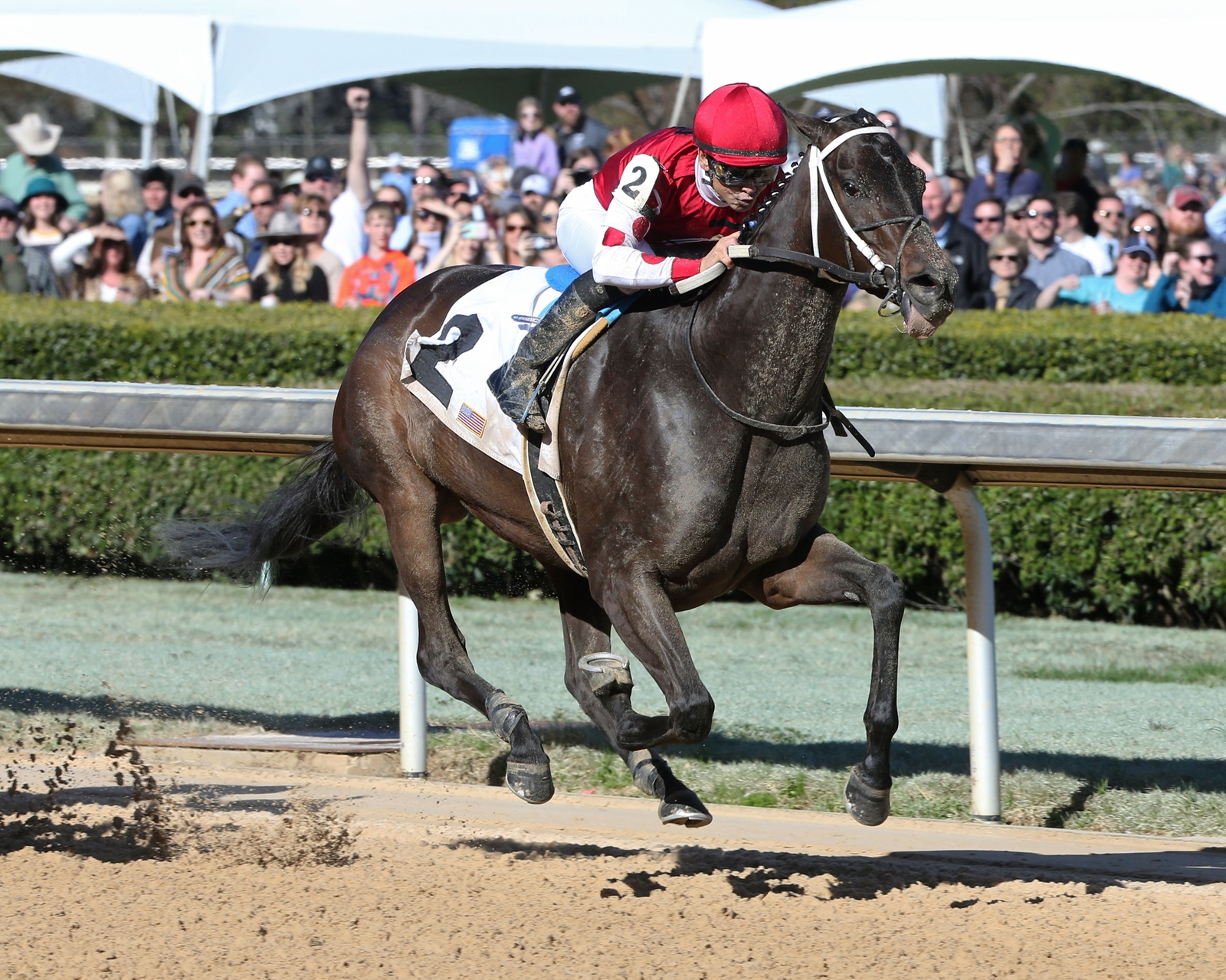 Late Move Sends Midnight Bisou to Azeri Victory - BloodHorse