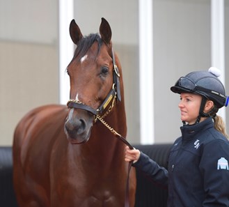 Audible - Horse Profile - BloodHorse