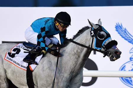 Indictment Details Alleged Doping Of X Y Jet BloodHorse indictment-details-alleged-doping-of-x-y-jet-bloodhorse