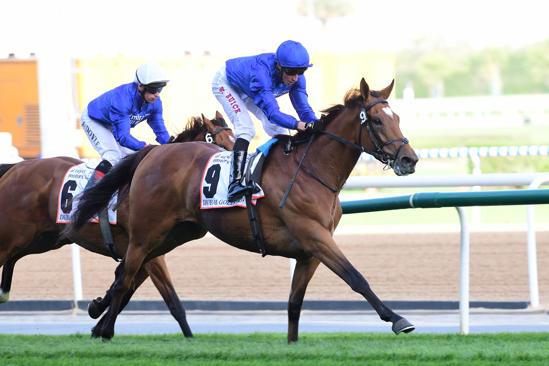 Melbourne Cup Alums Head Saudi s Turf Handicap BloodHorse