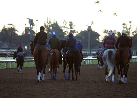 CA Exercise Rider Fitness Exam to Launch After Delay - BloodHorse