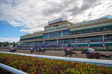 Racing at Gulfstream Park