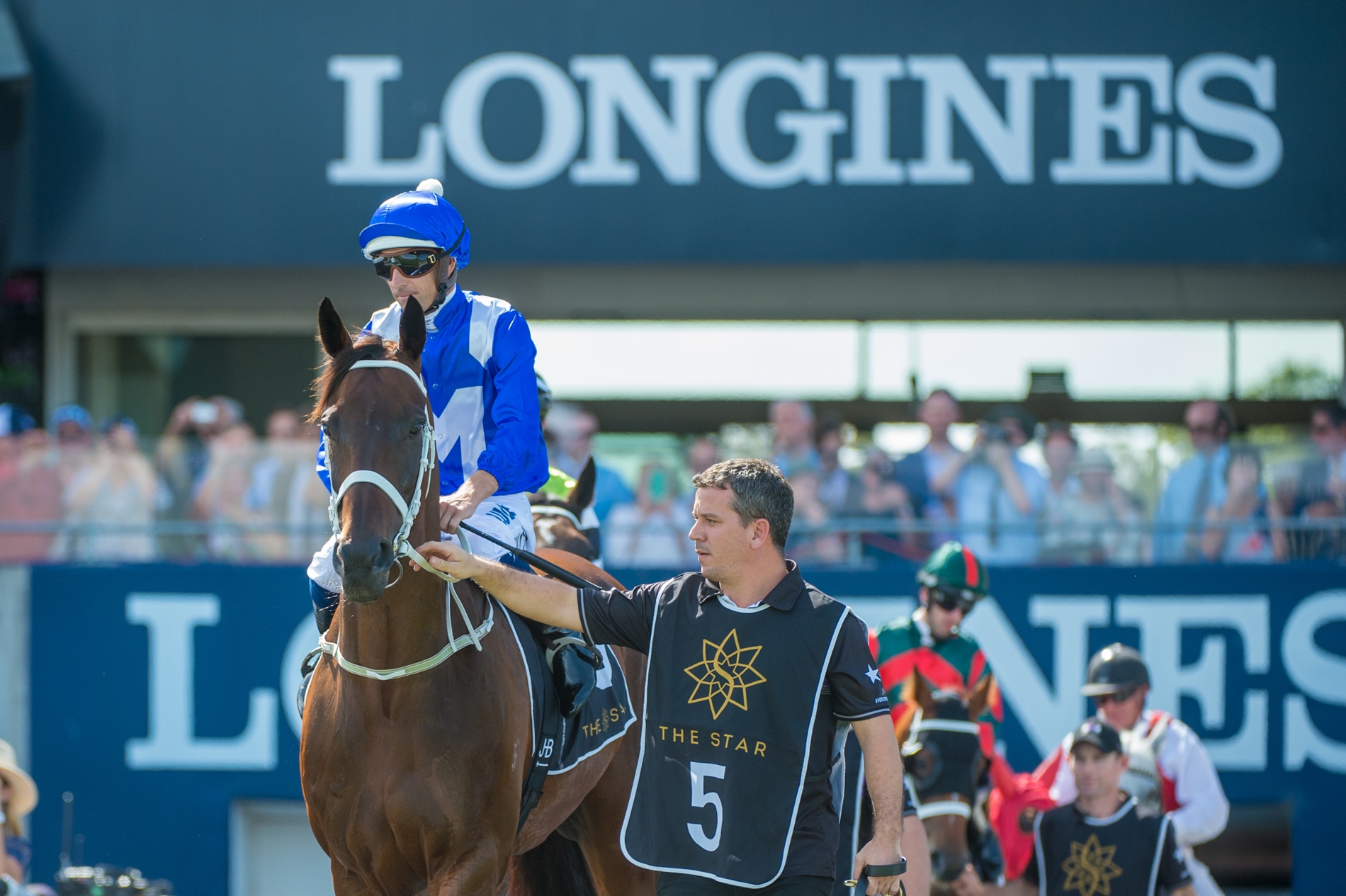 Winx Horse Profile BloodHorse