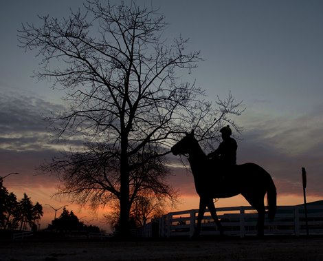 woodbine entertainment
