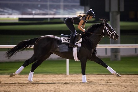 Erika Rasmussen Coal Front - Horse Profile - BloodHorse