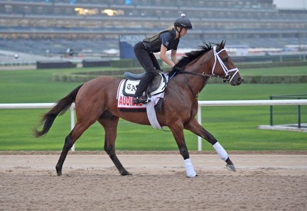 Audible - Horse Profile - BloodHorse