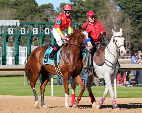 Improbable currently has only 25 qualifying points and is 27th on the Kentucky Derby leaderboard