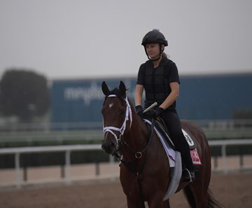 Audible - Horse Profile - BloodHorse