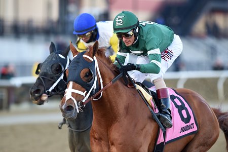 Vino Rosso turns back Title Ready to win the Stymie Stakes at Aqueduct Racetrack