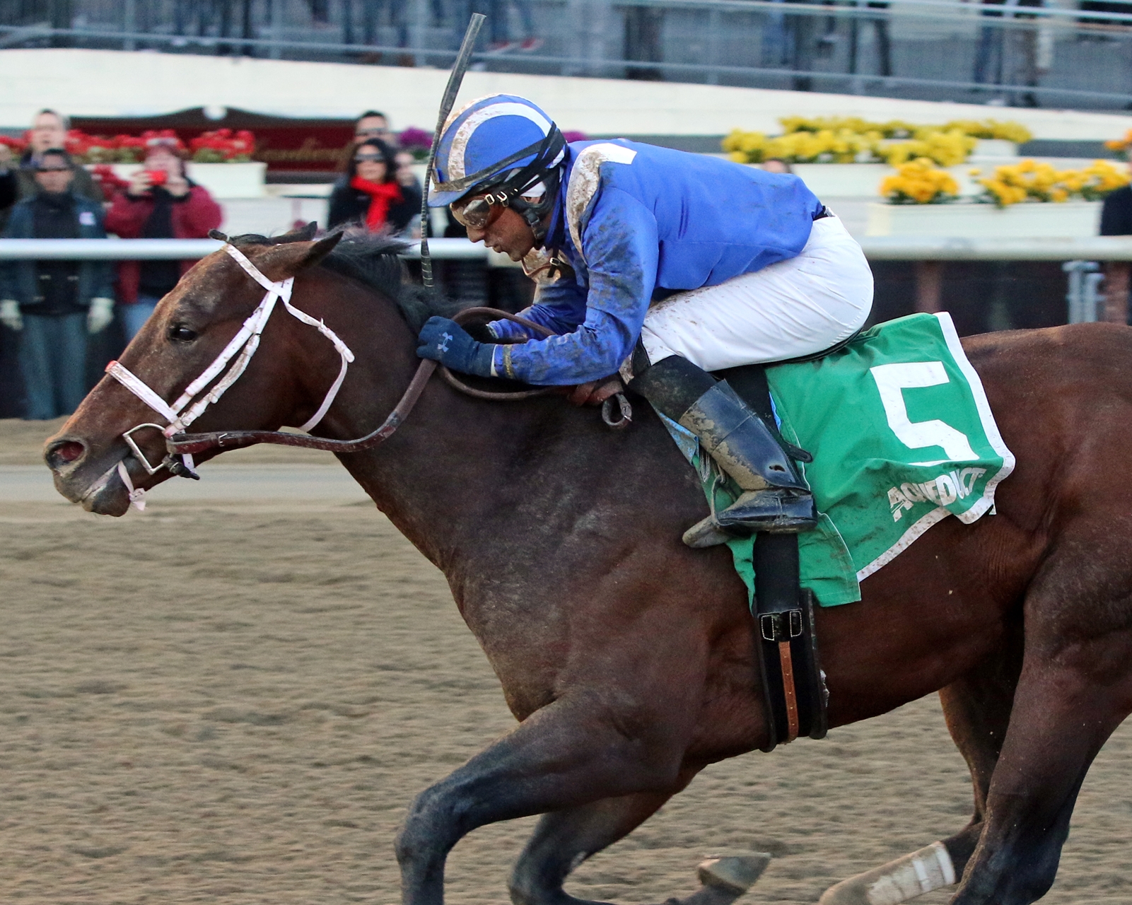 Triple Crown Prep Races Highlight Busy Saturday - BloodHorse