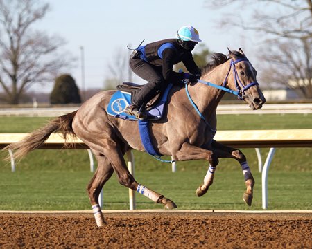 Servis Works Jaywalk, Lucky Lee at Keeneland - BloodHorse