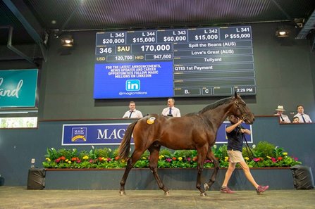 Cute Race Horse No Spill Cup