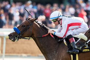 Elysea's World and jockey Drayden Van Dyke win the G3, $100,000 Santa Ana Stakes, Saturday, March 30, 2019 at Santa Anita Park, Arcadia CA.